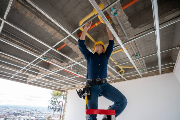 Best Plumbing Inspection Services  in Plattsburgh, NY